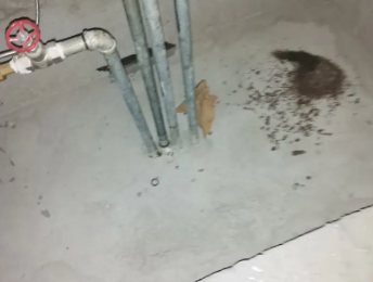 铜官卫生间测漏水价格明细